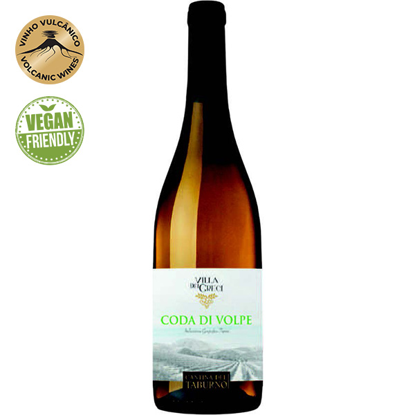 CODA DI VOLPE DEL TABURNO IGT